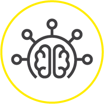 brain mapping
